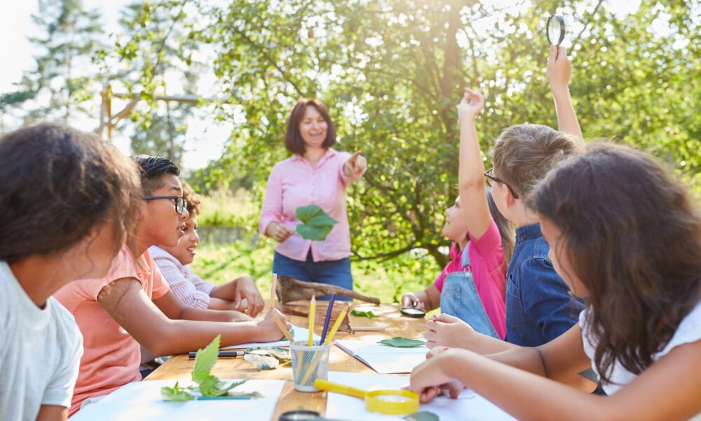 Caminhos para gestores e professores implantarem a educação ambiental em suas escolas