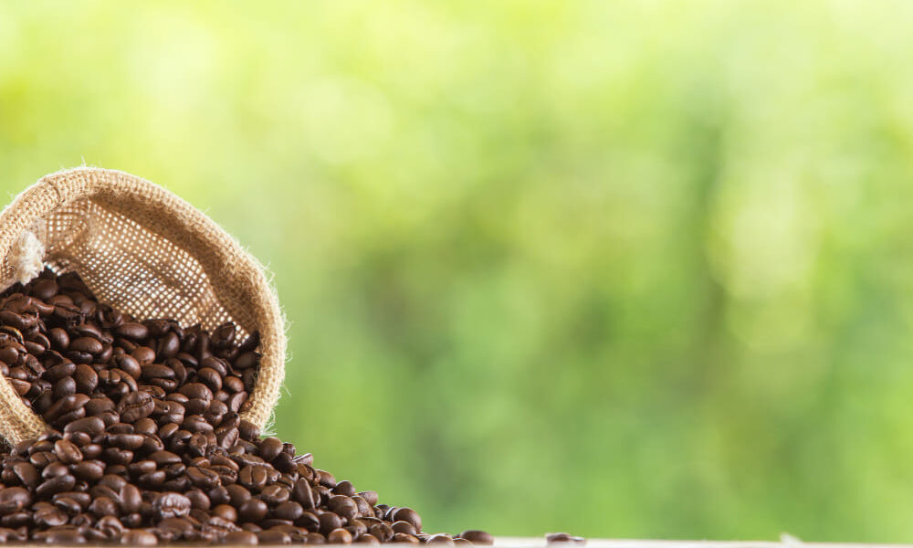 Rota do Café: Unindo campo e a cidade, Minas Gerais agora conta com rota especial para apresentar a cafeicultura