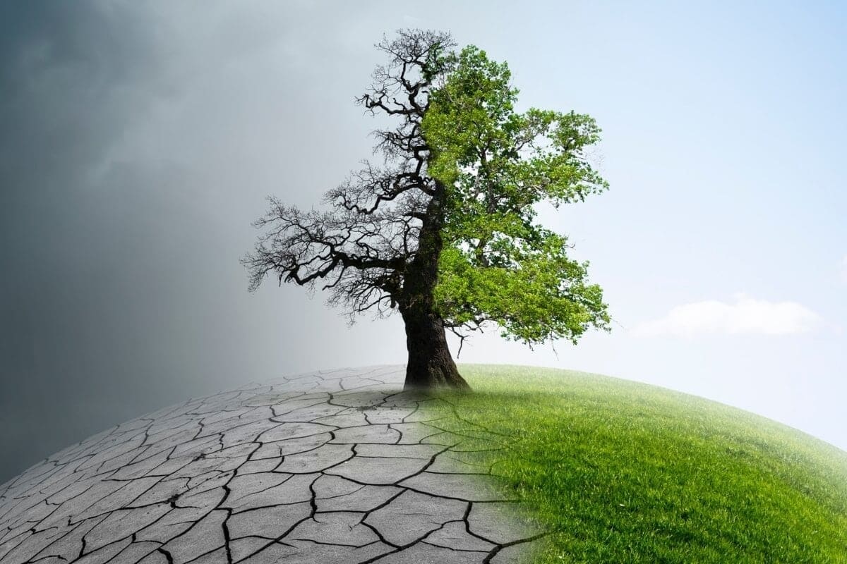 Estudo revela efetividade das ações de conservação ambiental