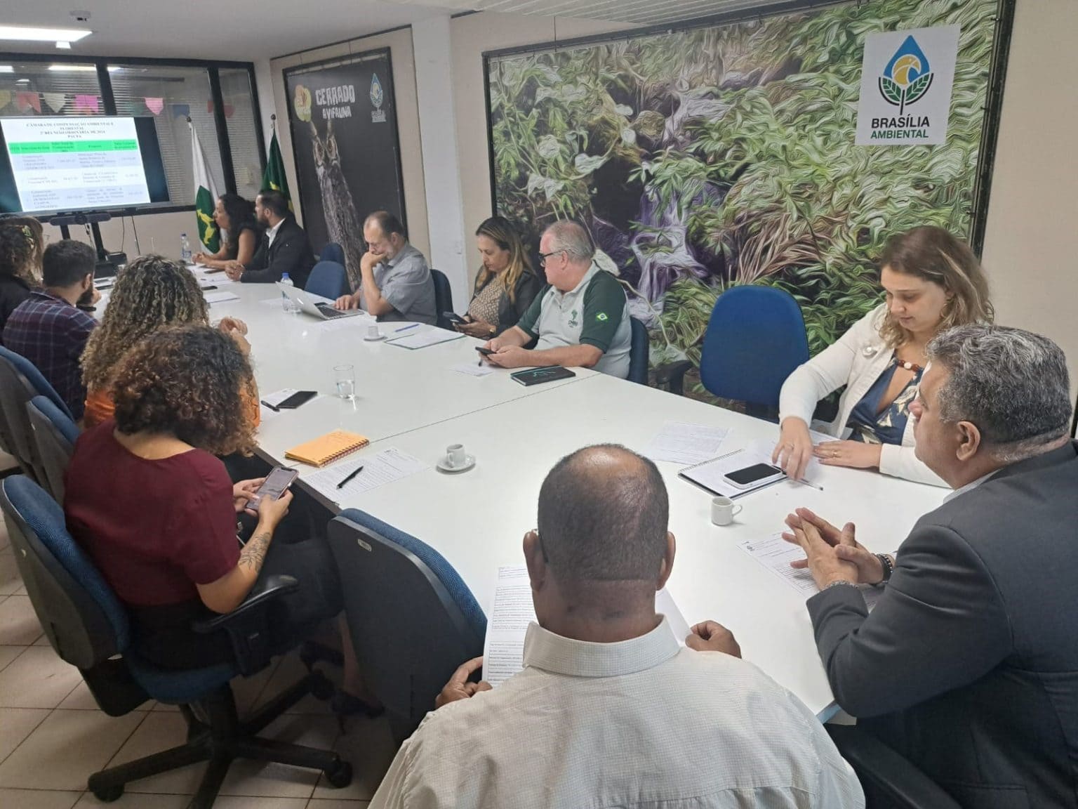 Câmara de Compensação aprova destinação de R$ 1,2 milhão a ações ambientais