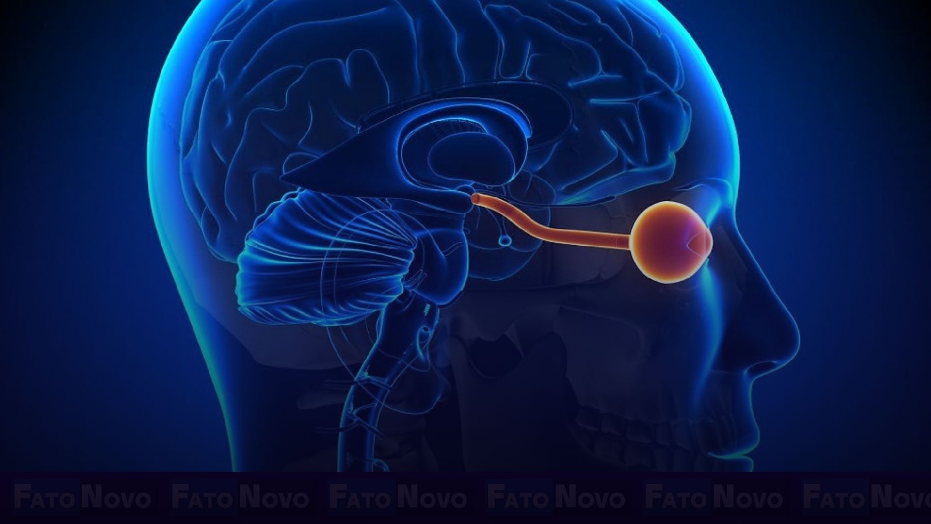 Saiba mais sobre a neuromielite óptica, doença autoimune que afeta principalmente mulheres negras