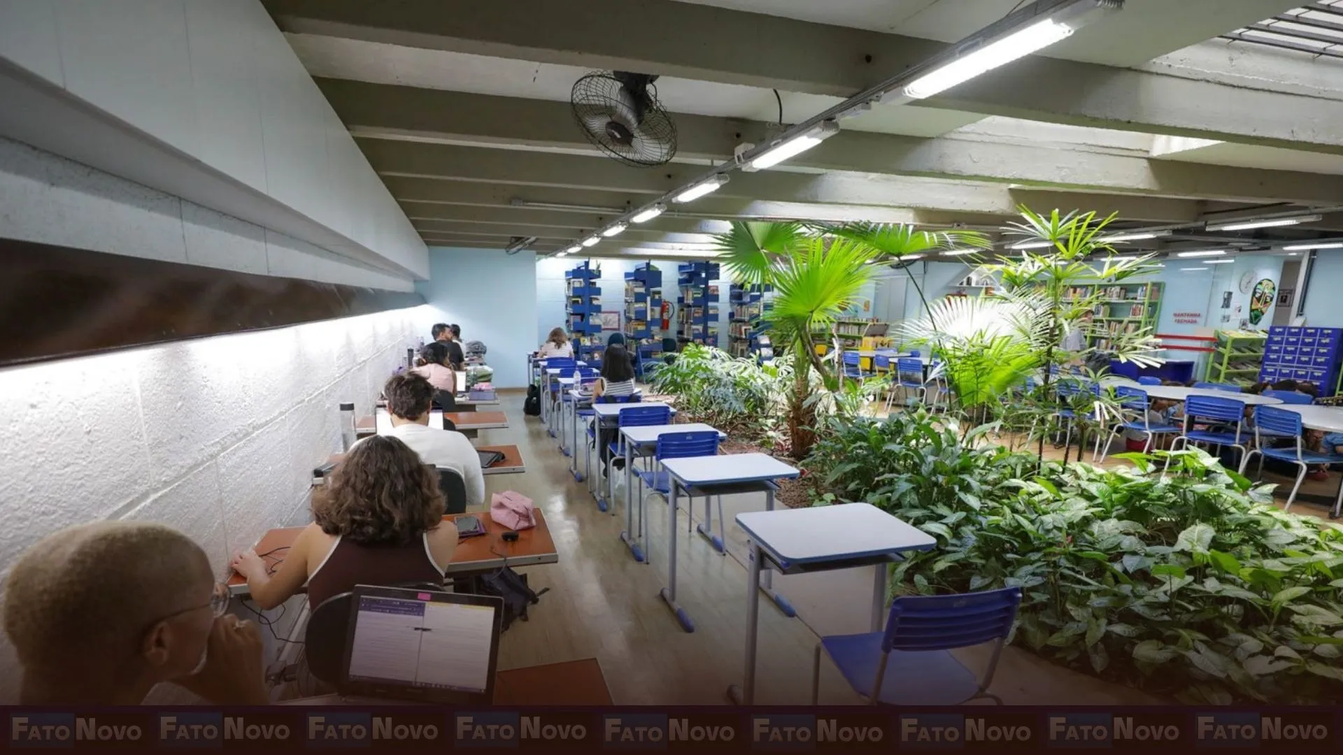 Espaços de inclusão social, bibliotecas escolares comunitárias estão abertas à população