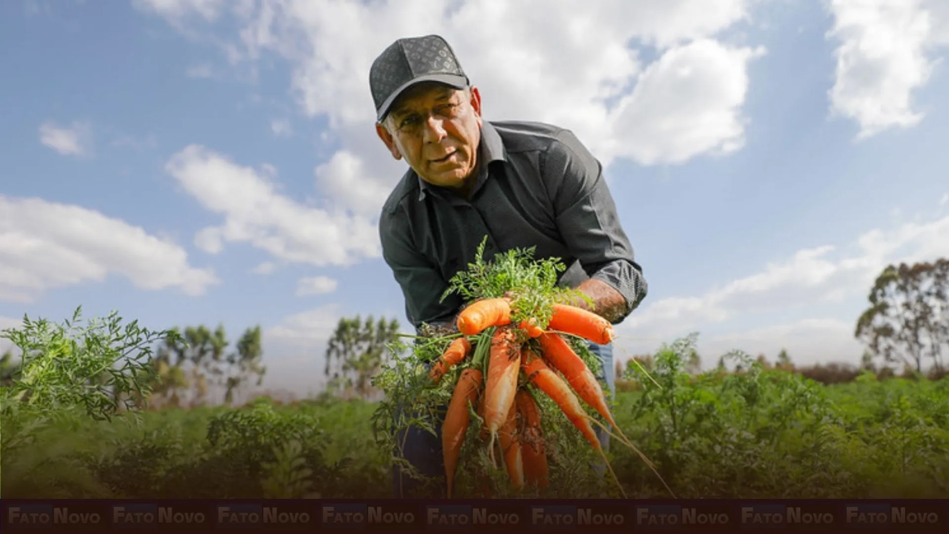 Programas do GDF fortalecem pequenos produtores e a segurança alimentar
