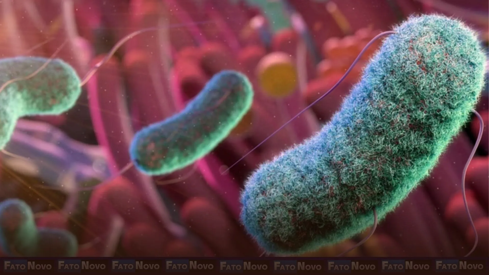 Resistência antimicrobiana já mata mais de um milhão de pessoas por ano; saiba o que é