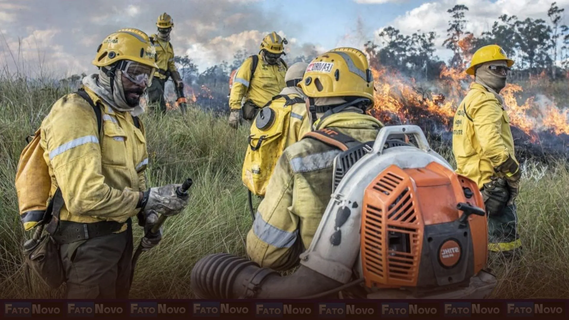 Fórum discute prevenção e combate a incêndios florestais