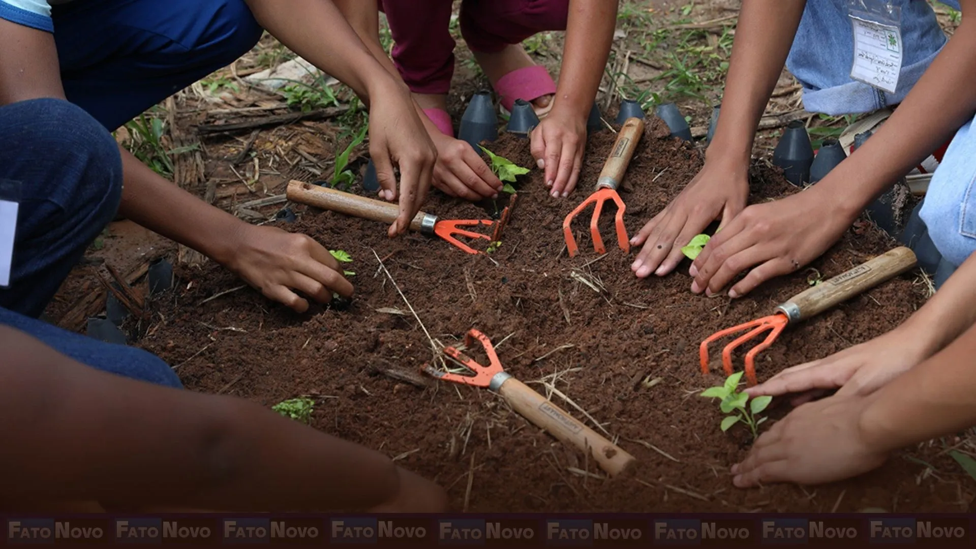 Colégio público em Brazlândia se destaca por adaptar aulas à realidade dos alunos