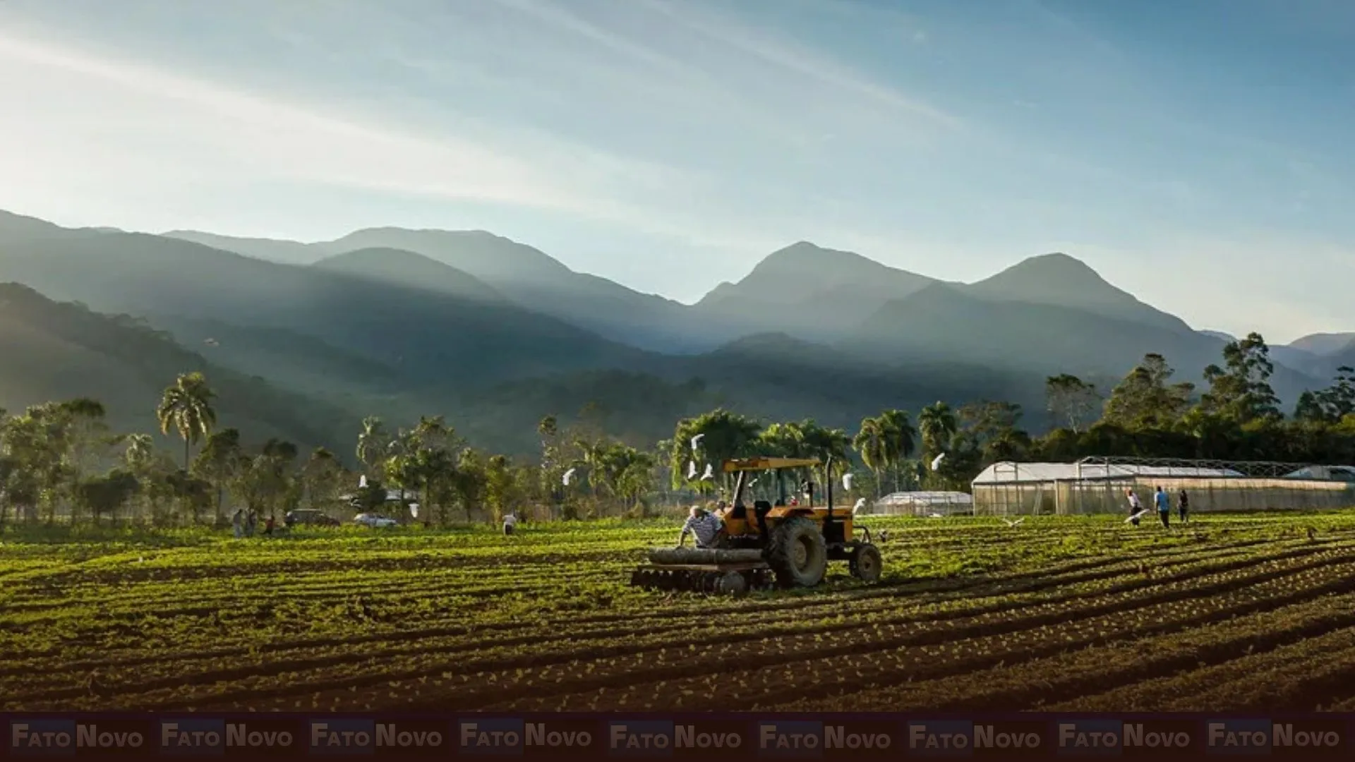 Thiago Guilherme Péra é o novo conselheiro do CCAS, reforçando o compromisso com a ciência e inovação no agro