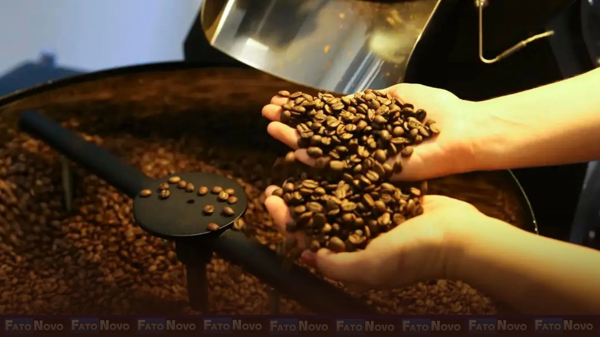 Brasil exporta 46 milhões de sacas de café, atingindo recorde em 2024