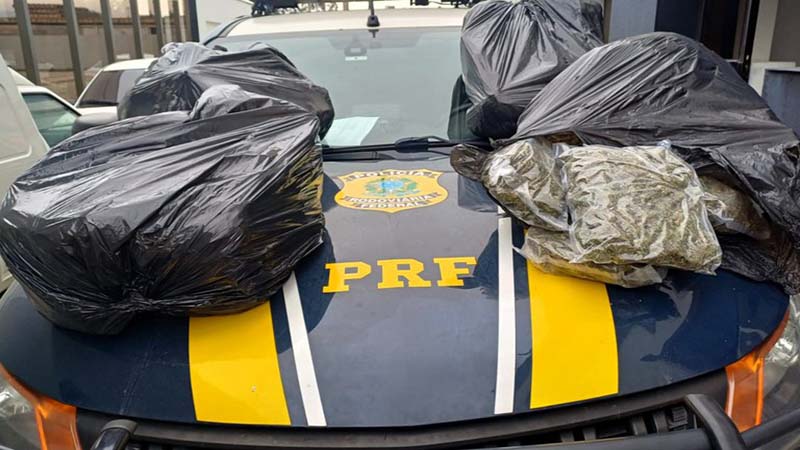 Tráfico de drogas: homem é preso com quase 50 quilos de skunk em Imbituba