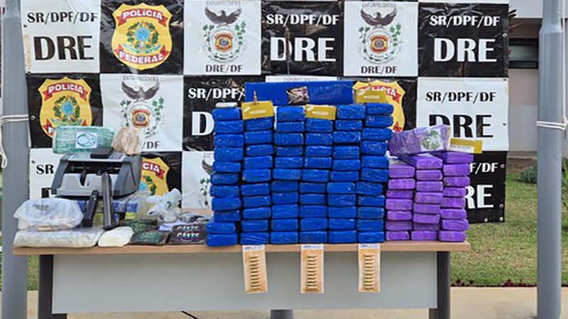 PF realiza a apreensão de drogas e armas no Distrito Federal