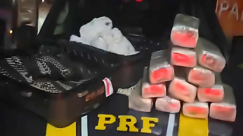 PRF apreende 12 quilos de skunk em ônibus interestadual na BR-222