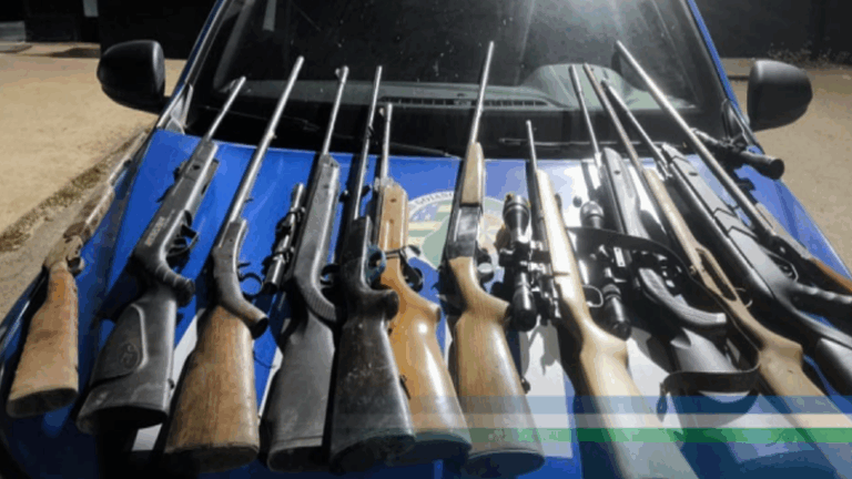 PMGO 36ª CIPM – apreende 12 (dose) armas de fogo