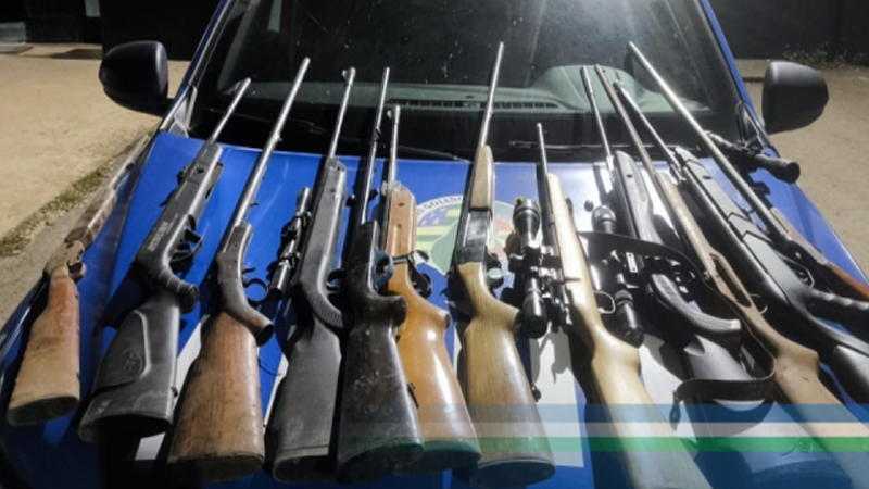 PMGO 36ª CIPM – apreende 12 (dose) armas de fogo