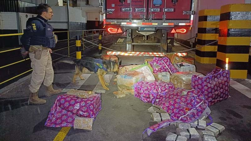 PRF apreende aproximadamente 400 kg de Maconha em carregamento de carne na BR 262 em MG