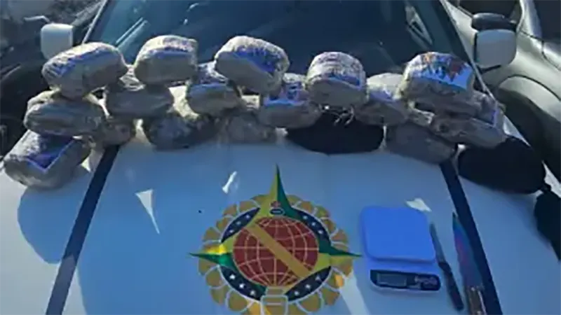 PMDF apreende carga de drogas avaliada em R$ 100 mil e detém três suspeitos em Taguatinga