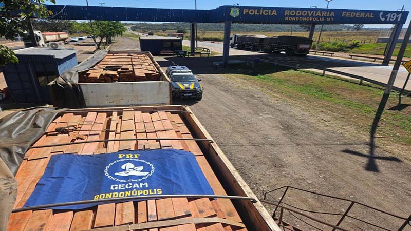 PRF apreende 51 m³ de madeira ilegal em Rondonópolis/MT
