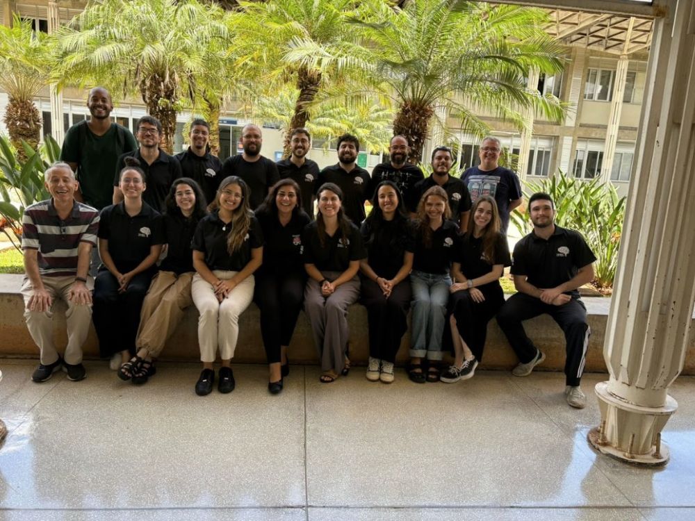 Pesquisa brasiliense transforma substância de vespa em possível aliada contra o Alzheimer