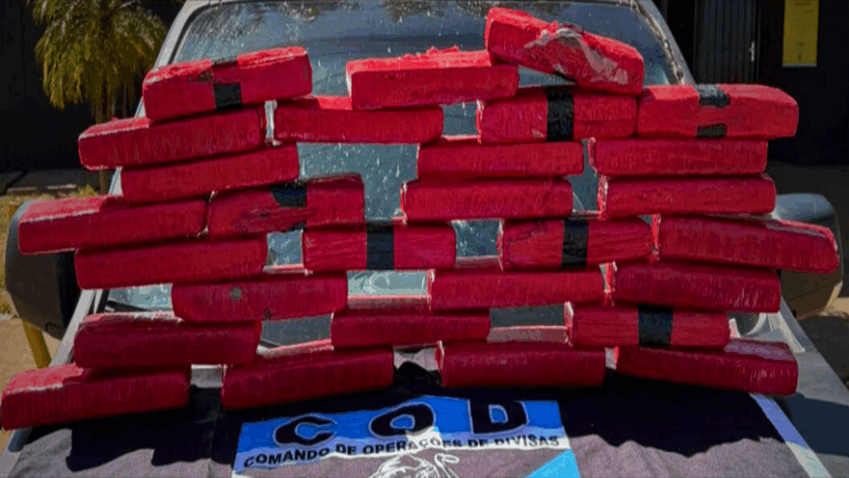 PMGO COD – prende traficante e apreende 20kg de drogas