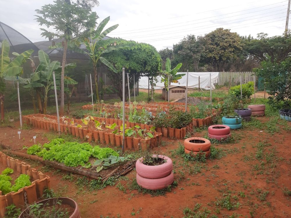 Mês do Cerrado terá arte e educação ambiental no Centro de Práticas Sustentáveis