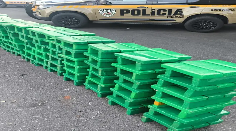 PMMG Capitólio – 850 quilos de maconha são apreendidos escondidos em carga de repolho