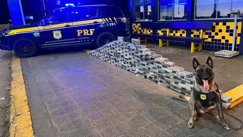 PRF apreende 176 kg de cocaína em compartimento oculto de caminhão na BR-364 em Rondonópolis (MT)