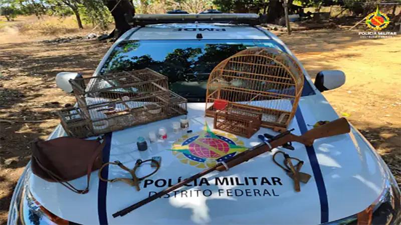 PMDF apreende arma e aves silvestres em Ceilândia