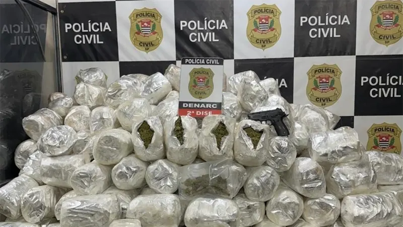 Mais de 130 kg de ‘supermaconha’ são apreendidos em ação policial em SP
