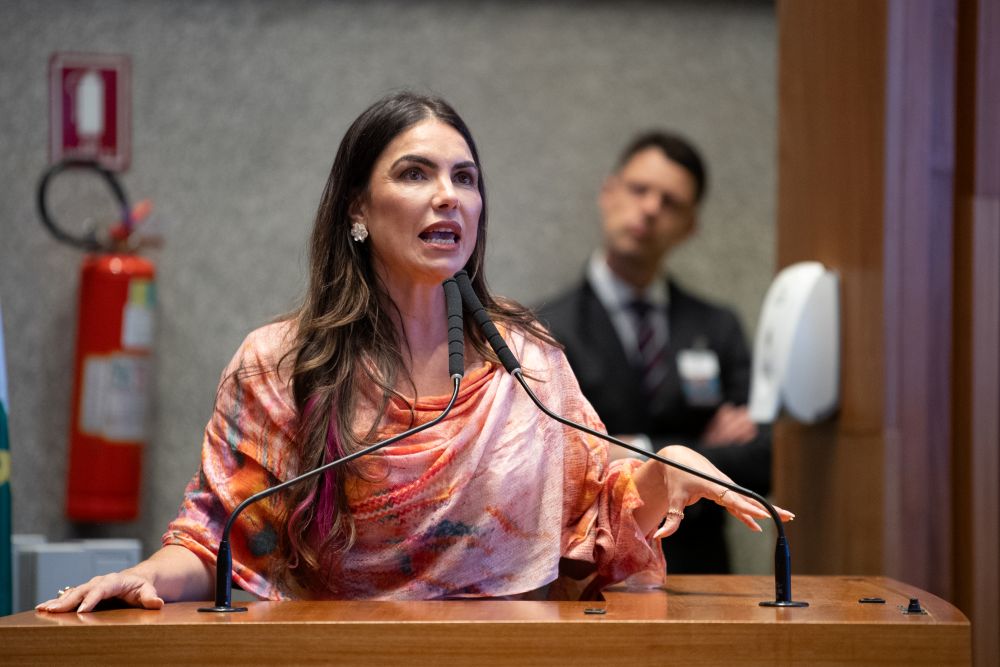 CLDF aprova projeto de Paula Belmonte para combater devedor contumaz no comércio local