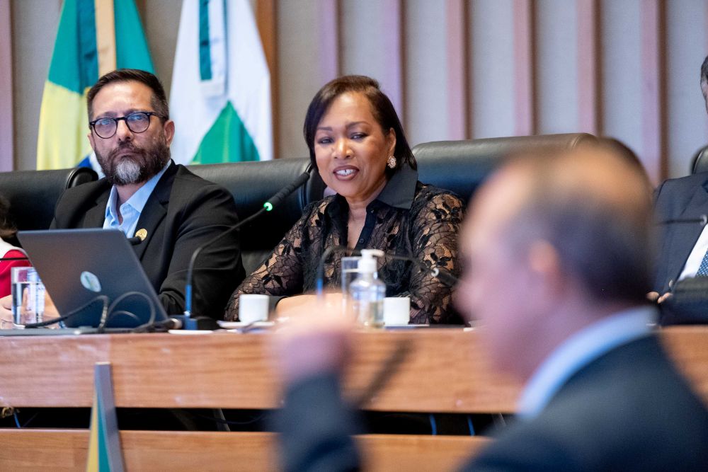 CLDF presta homenagem a engenheiros, arquitetos e técnicos de segurança do trabalho