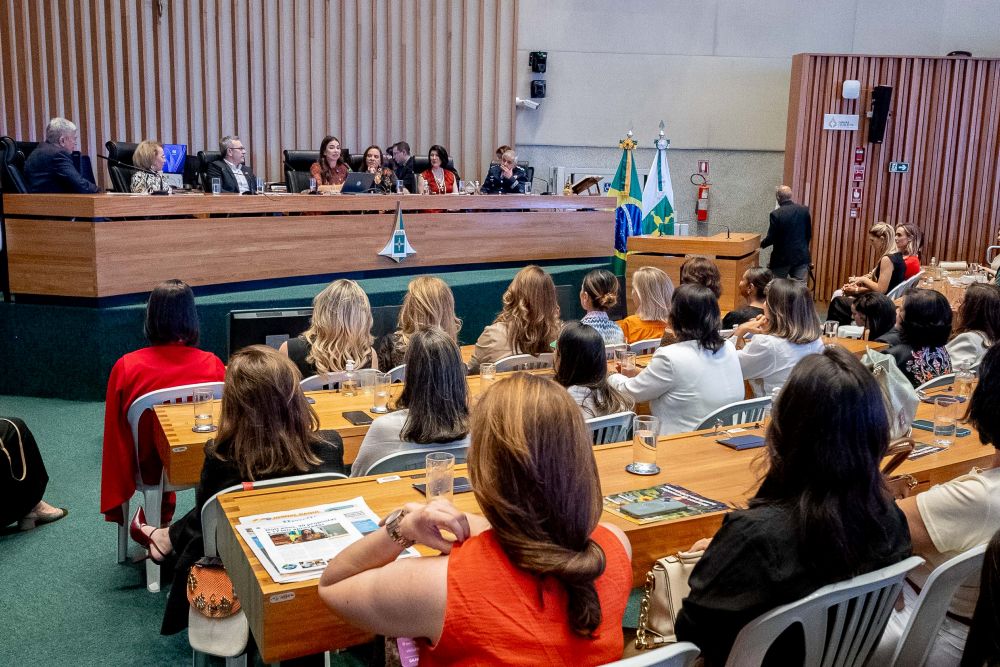 Mulheres empreendedoras são homenageadas em solenidade na Câmara Legislativa