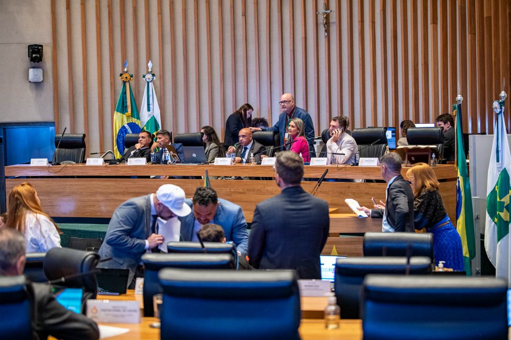 Alteração no Orçamento do DF destina R$ 500 mil a iniciativas de proteção animal