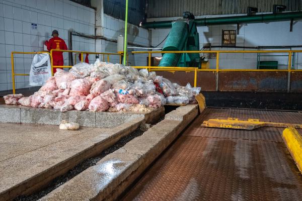 Equipe técnica da CPI visita frigoríficos e abatedouros que operam próximos ao Melchior