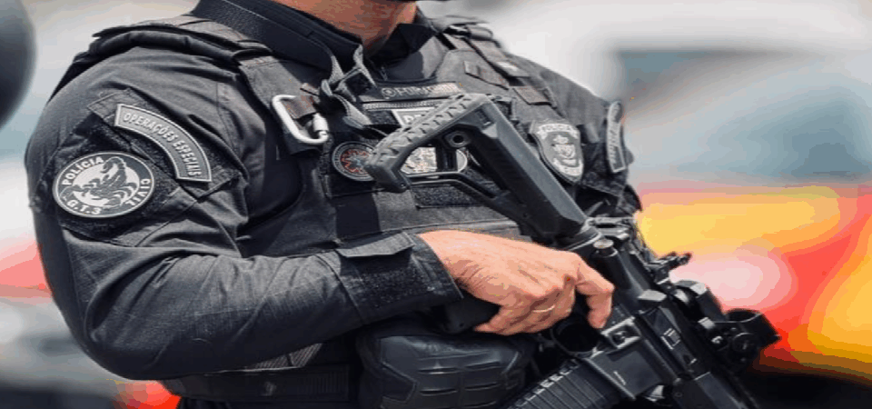 Polícia Civil de Goiás apreende mais de 4 toneladas de Café a caminho da adulteração de produtos