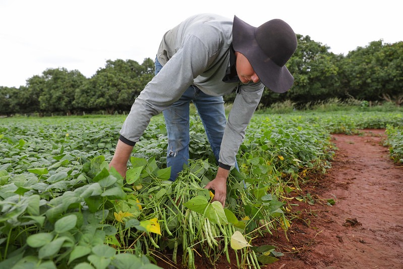 Seagri-DF celebra avanços históricos e fortalece o campo em 2025