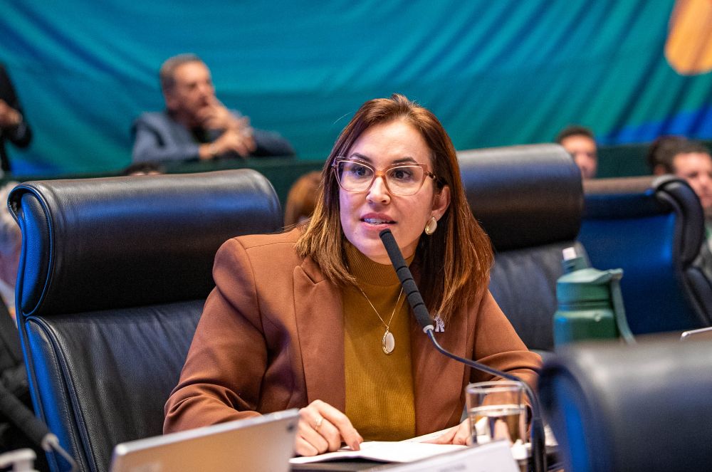 Projeto que regulamenta exercício da enfermagem estética no DF vai à sanção