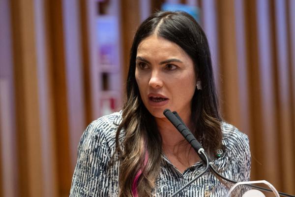 Projeto voltado a estudantes com altas habilidades é aprovado pela CLDF