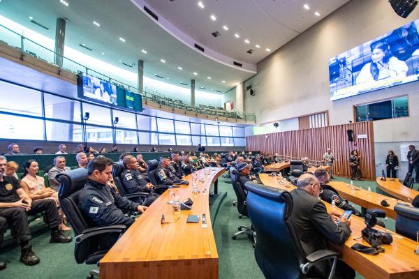 Servidores da segurança pública são homenageados por atos de bravura