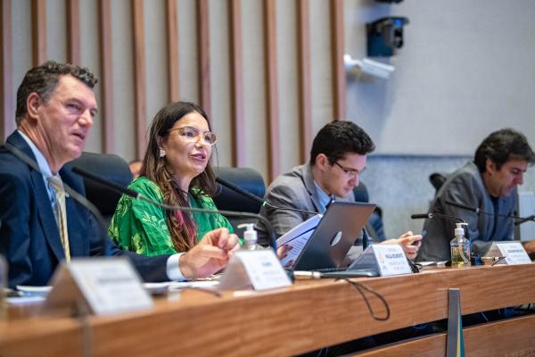 Relatório final da CPI apresenta plano para revitalizar o Rio Melchior