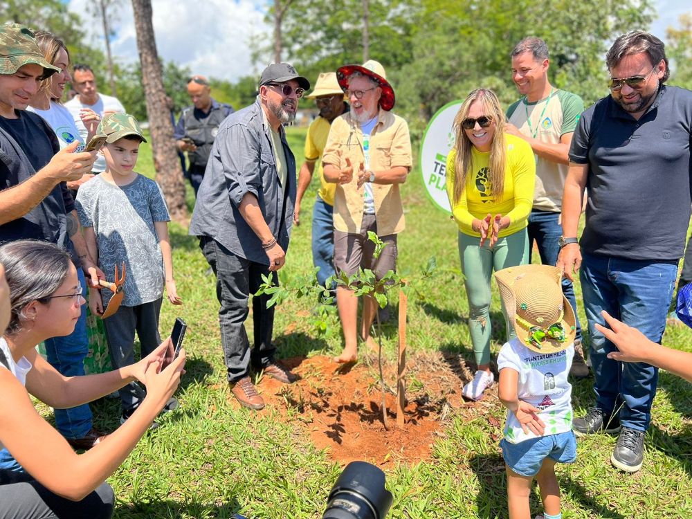 Ação plantará 15 mil mudas do Cerrado no Parque Ecológico do Cortado, em Taguatinga