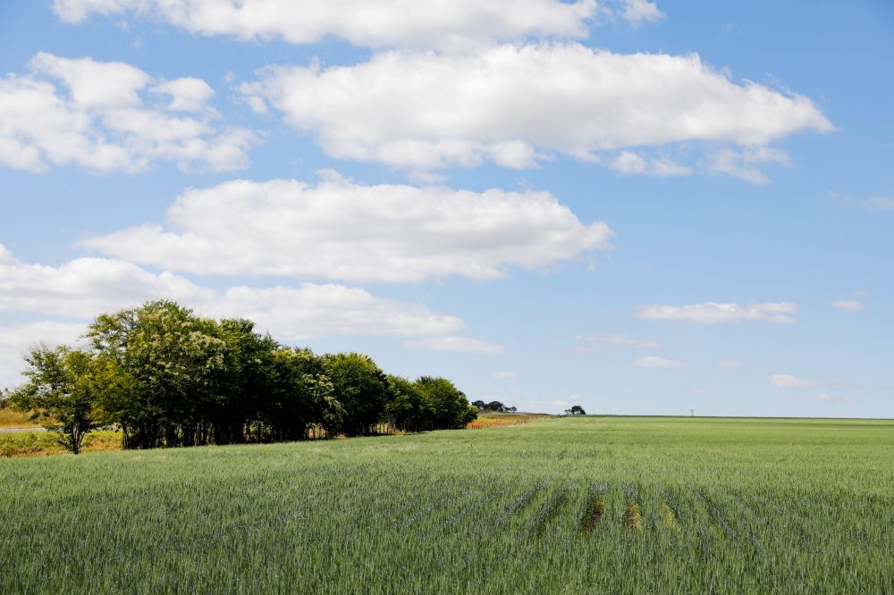 Novo acordo de cooperação favorece pesquisas na agropecuária