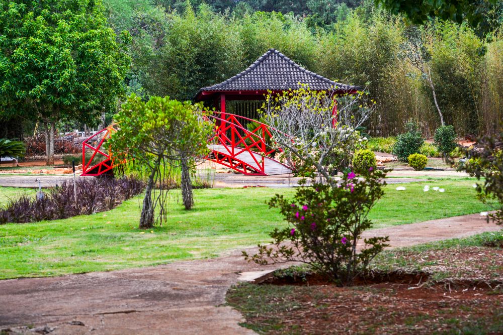 Jardim Botânico de Brasília encerra 2025 com recorde de visitação e avanços na conservação do Cerrado
