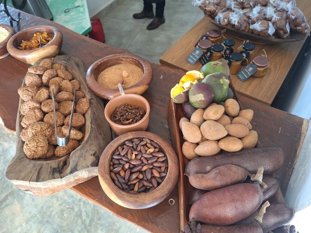 Estudo inédito inclui frutos do Cerrado na alimentação escolar no DF