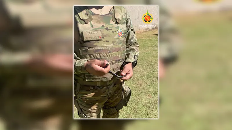 PMDF realiza resgate seguro de serpente em área residencial no Jardim Botânico