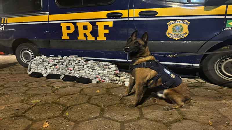 PRF apreende mais de 70 quilos de drogas em Piraí