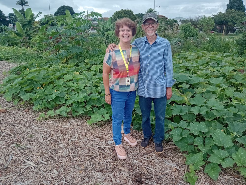 Programa Brasília Verde fortalece a segurança alimentar e leva saúde e sustentabilidade às cidades do DF