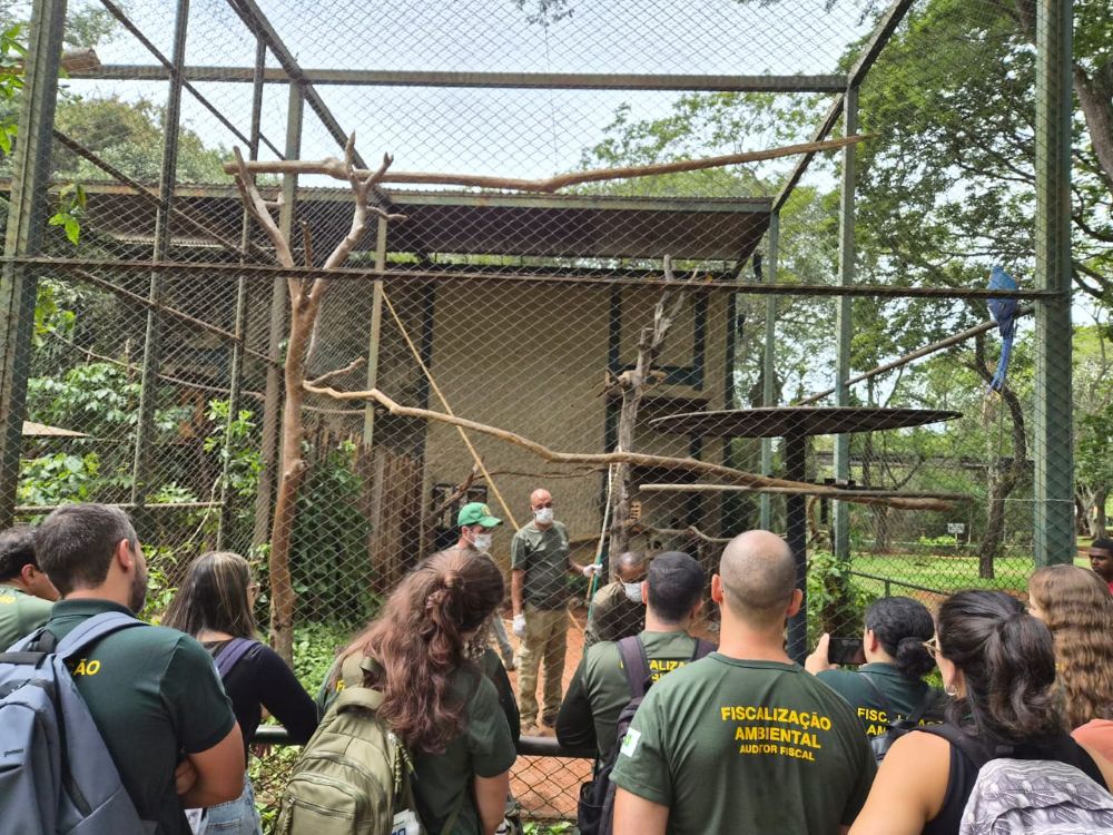 GDF registra mais de 2,8 mil ações fiscais em 2025 e reforça proteção ambiental