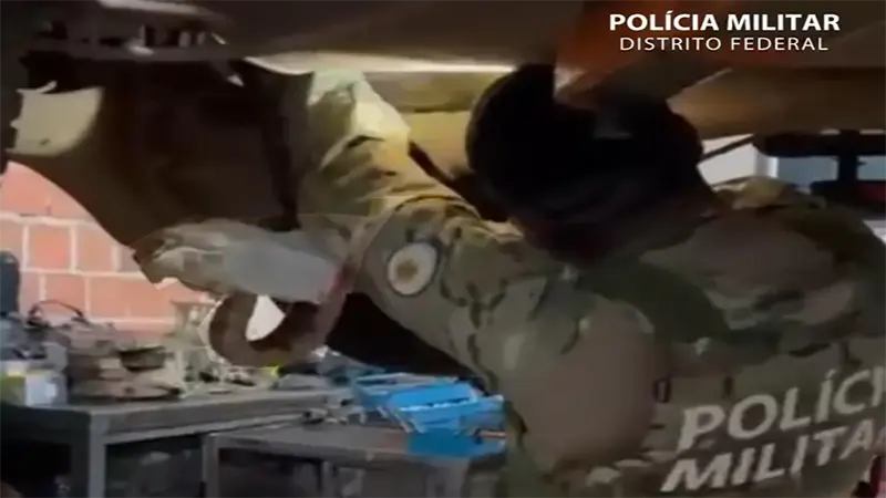 BPMA resgata cobra em residência no Setor Habitacional Água Quente