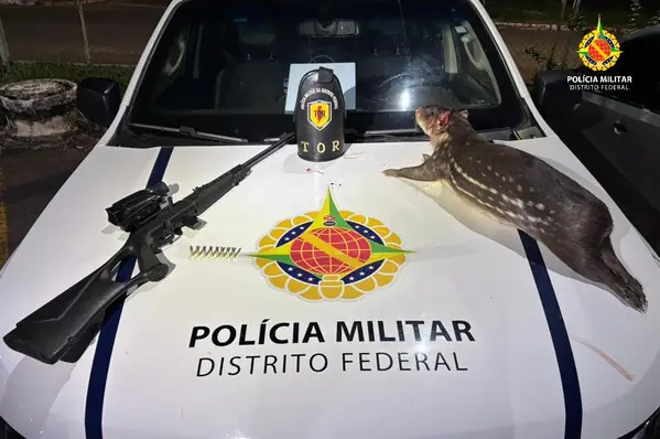 PMDF prende homem com arma de fogo e animal silvestre abatido no Gama