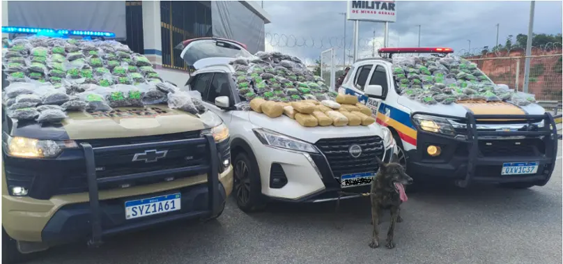 Divinópolis – PM combate o tráfico internacional de drogas e apreende mais de 350 pacotes de maconha e derivados