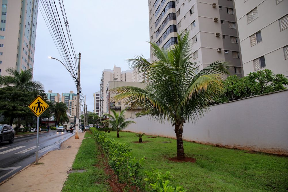 Programa Adote uma Praça entrega dois novos espaços reformados em Águas Claras